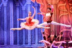 Maiara Bersch/Agencia RBS