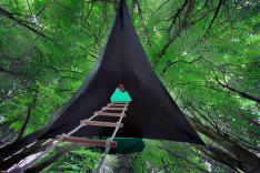 Divulgao/Tentsile