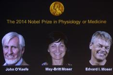 JONATHAN NACKSTRAND/AFP