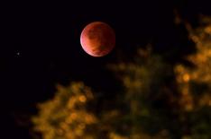 Andr Vanzin/arquivo pessoal