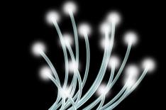 Reproduo/Ver Descrio