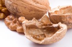 Stock.xchng/Divulgao/Stock.xchng/Divulgao