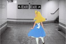 Harry McNally/Instagram