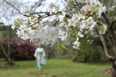 PABLO GOMES/Agencia RBS