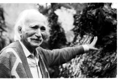 Dulce Helfer/Agencia RBS