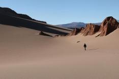 Uma Passagem para Mrio/Reproduo