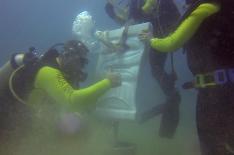 Alsemo Dll/Divulgaao