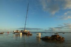 Shane smart/divulgao