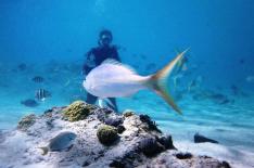 Paulo Meira/Arquivo Pessoal