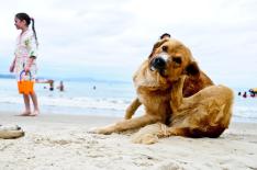 Jess Giotti/Agencia RBS