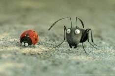 paris filmes/Divulgao