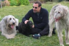 Sam Simon Foundation/Reproduo