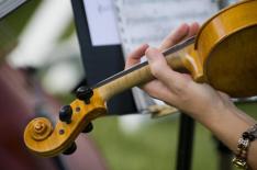 STOCK.XCHNG/divulgao