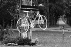 Ariana Sarmento/divulgao