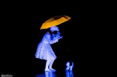 Evolution Dance Theater/Divulgao
