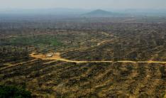 Jonne Roriz, AE�/�