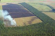 Rodrigo Baleia, Greenpeace /