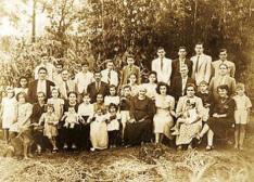 Divulga��o�/�