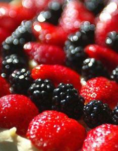 Divulga��o�/�