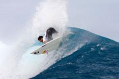  Sean Rowland, ASP Images /