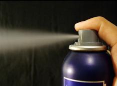 Divulga��o�/�