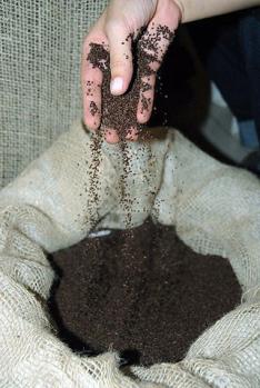 Divulga��o�/�