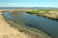 Ronaldo Bernardi�/�