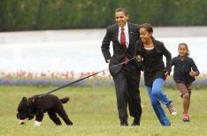 Ron Edmonds, AP /