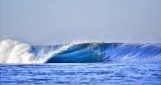 ASP, divulgao/