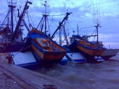 Fernando Halal /  Fernando Halal /