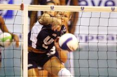 Divulgao, CBV/