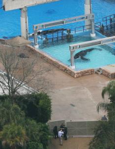 Orlando Sentinel, Red Huber/AP�/�