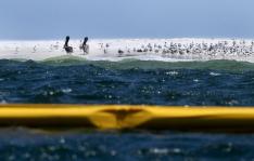 William Colgin, EFE/