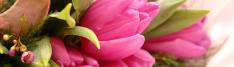 Sxc.hu�/�