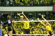 FIVB/