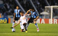 Fernando Gomes/