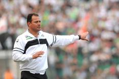 Flavio Neves /