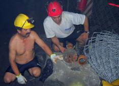 AFP /