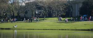 (Parques e Pra�as de Curitiba, Site Oficial, Divulga��o/hagah)