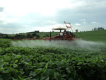 Aplicao de tratamentos, estdio R2 - lavoura do agricultor