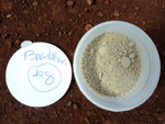 Baculovirus, inseticida biolgico