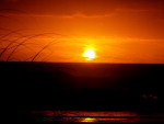 Sol nascente - Cap�o da Canoa