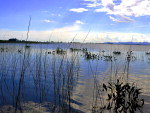Lagoa dos Quadros - Cap�o da Canoa