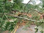 Serra de Pomerode, na Rodovia SC-416, que liga Jaragu at Pomerode. O deslizamento aconteceu no km 29 e interrompeu as trs pistas