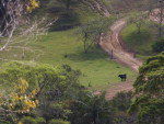  Nova Rssia, Blumenau