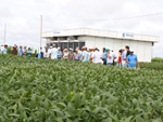 Estande do Lavouras do Brasil onde foi apresentada palestra sobre Micronutrientes na Cultura da Soja em MT no Dia de Campo