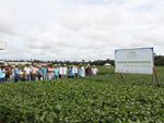 Agrnomo Clvis Albuquerque mostrando as cultivares de soja da Embrapa no Dia de Campo