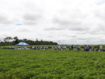 Participantes transitando entre estaes durante o Dia de Campo