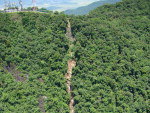 Deslizamento no Morro das Antenas, em Jaragu do Sul