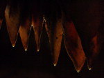 Caverna botuver, em Botuver
